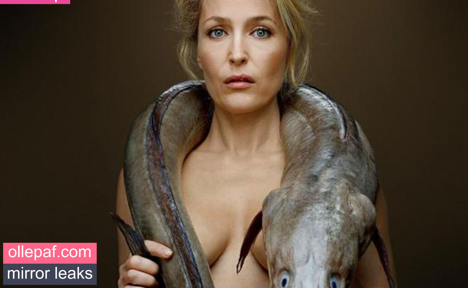 Latest Leaks Gillian Anderson Nude #208 - Fapello