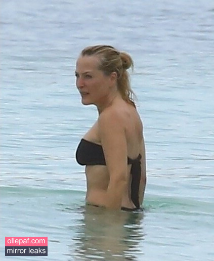 Latest Leaks Gillian Anderson Nude #47 - Fapello