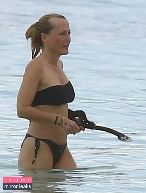 Latest Leaks Gillian Anderson Nude #55 - Fapello