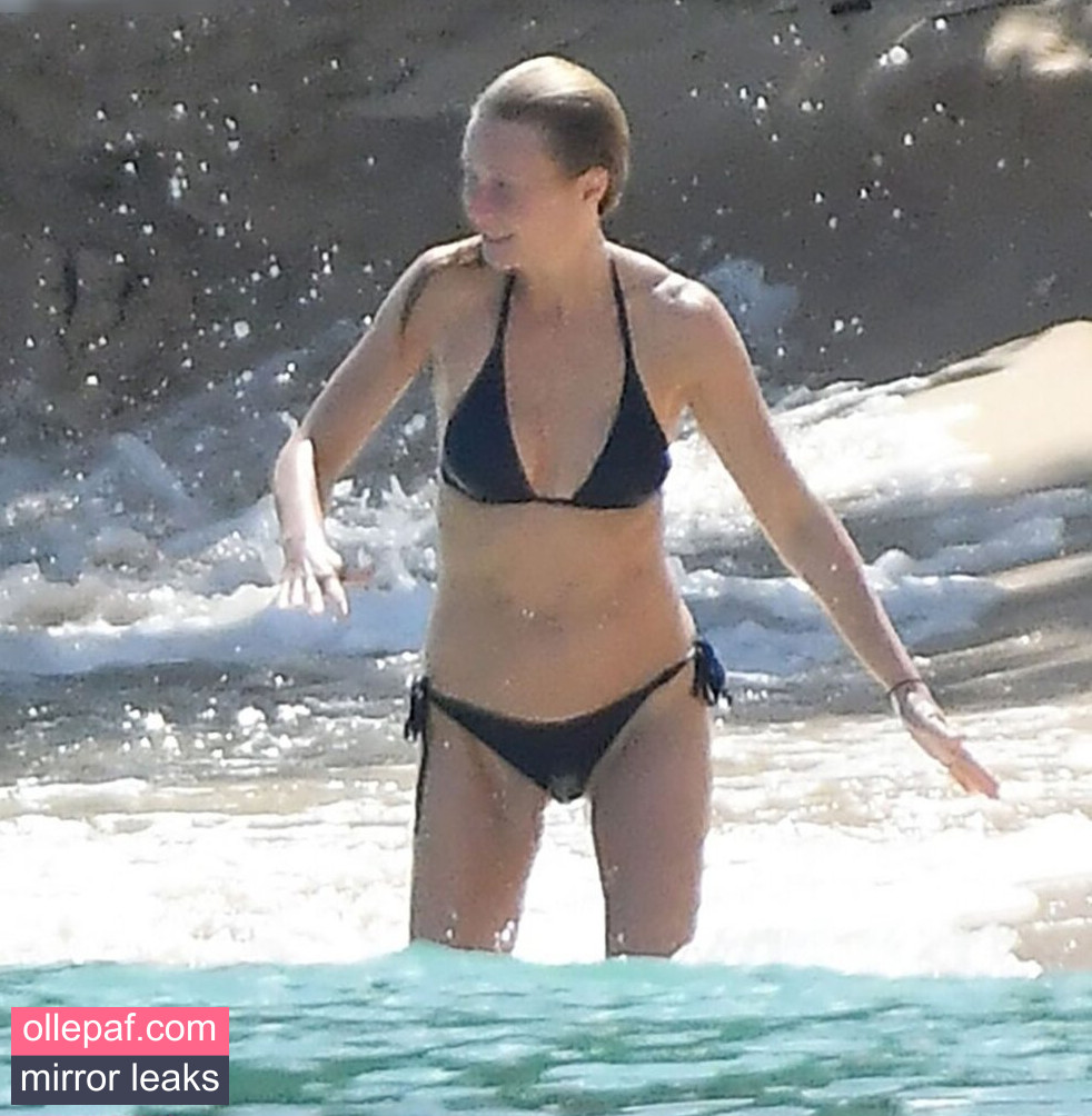 Latest Leaks Gwyneth Paltrow Nude #212 - Fapello
