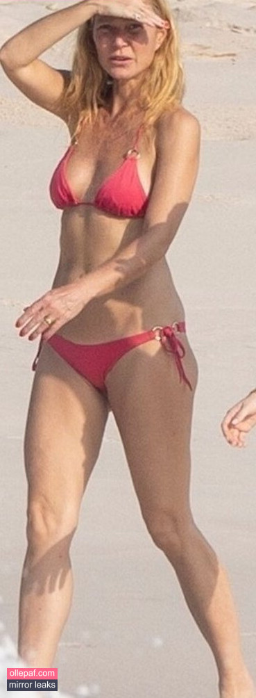 Latest Leaks Gwyneth Paltrow Nude #231 - Fapello