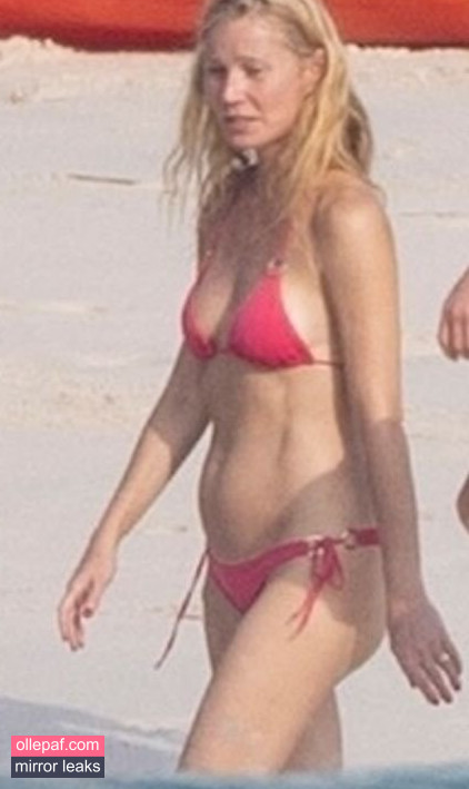 Latest Leaks Gwyneth Paltrow Nude #234 - Fapello