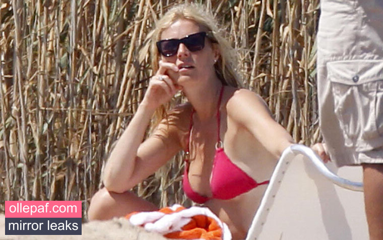 Latest Leaks Gwyneth Paltrow Nude #336 - Fapello