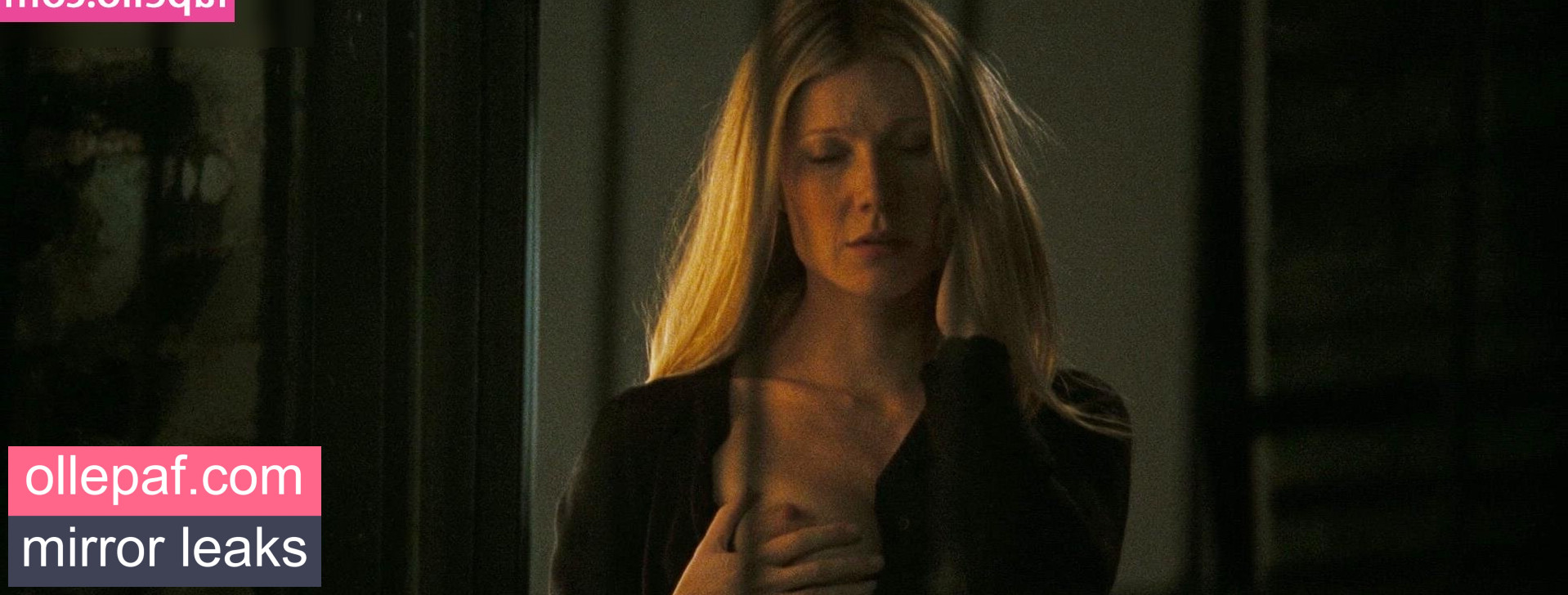 Latest Leaks Gwyneth Paltrow Nude #347 - Fapello