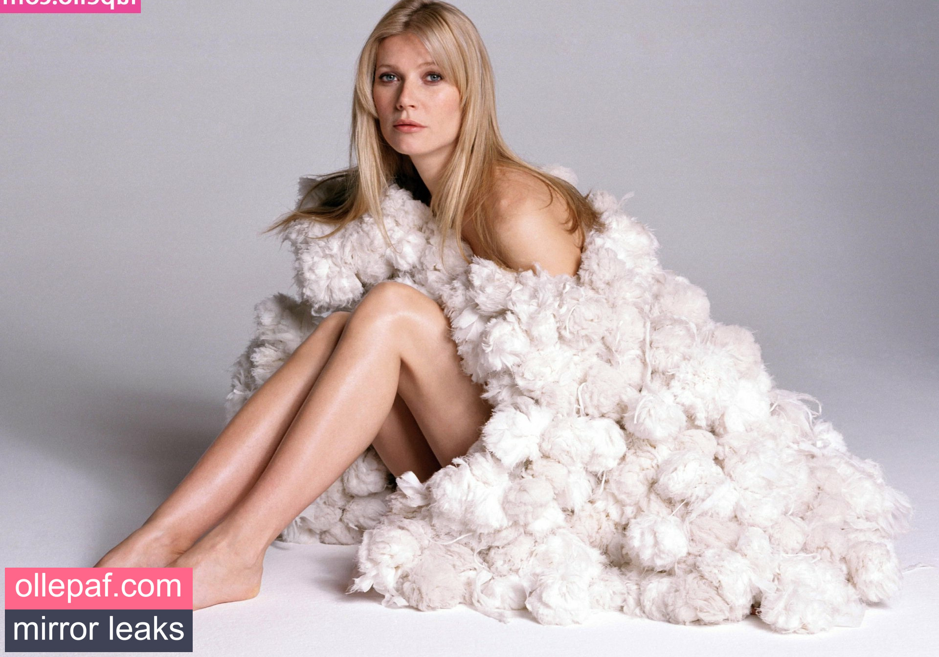 Latest Leaks Gwyneth Paltrow Nude #358 - Fapello