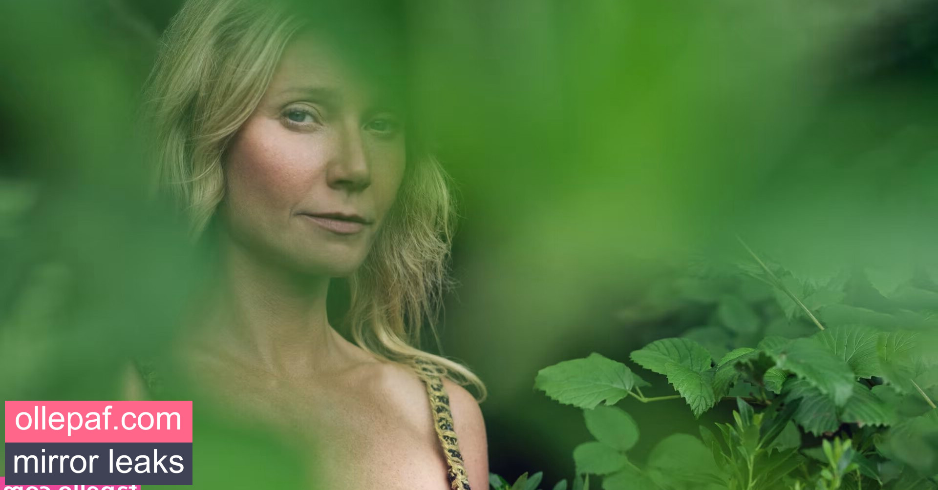 Latest Leaks Gwyneth Paltrow Nude #521 - Fapello