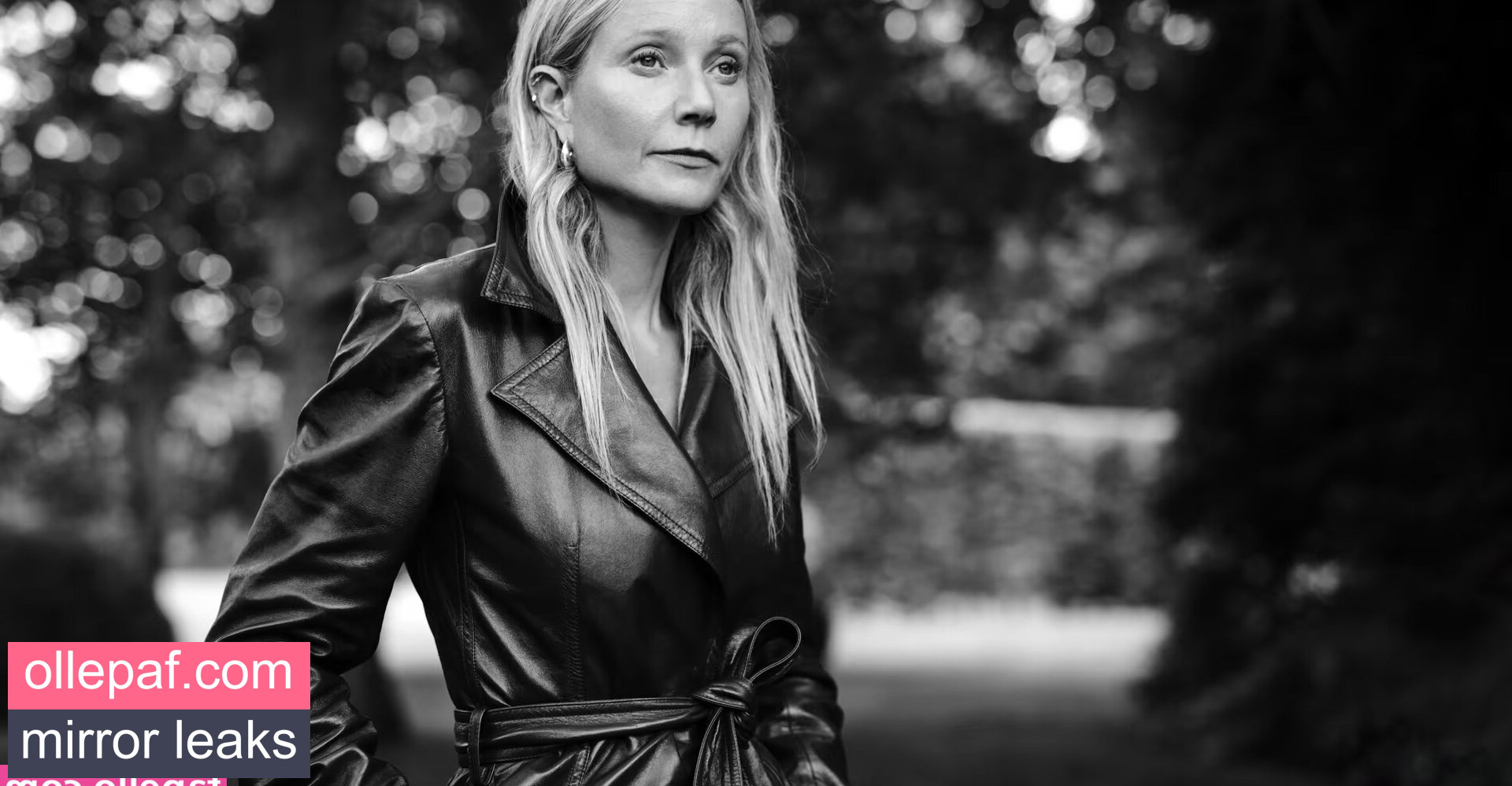 Latest Leaks Gwyneth Paltrow Nude #523 - Fapello