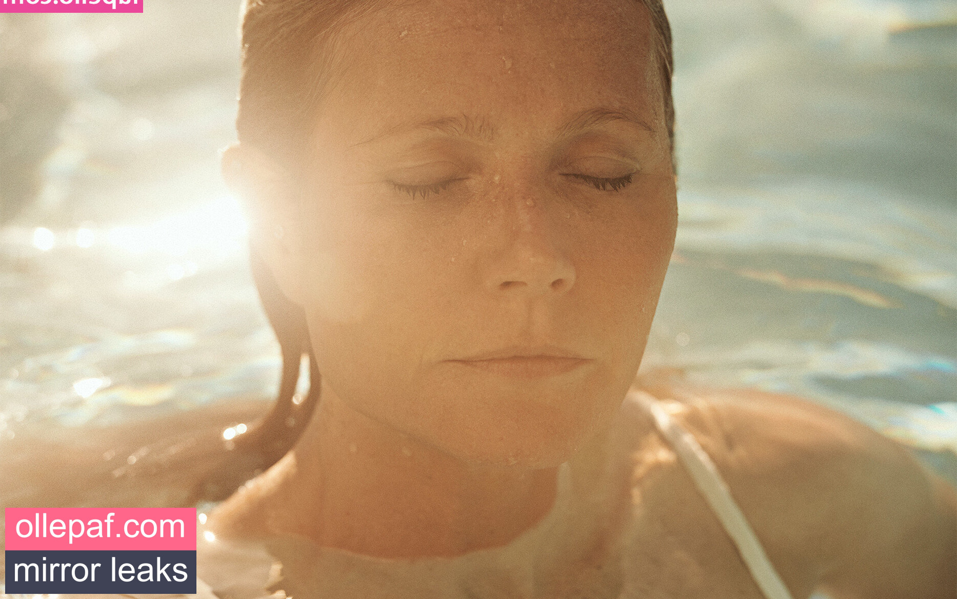 Latest Leaks Gwyneth Paltrow Nude #612 - Fapello