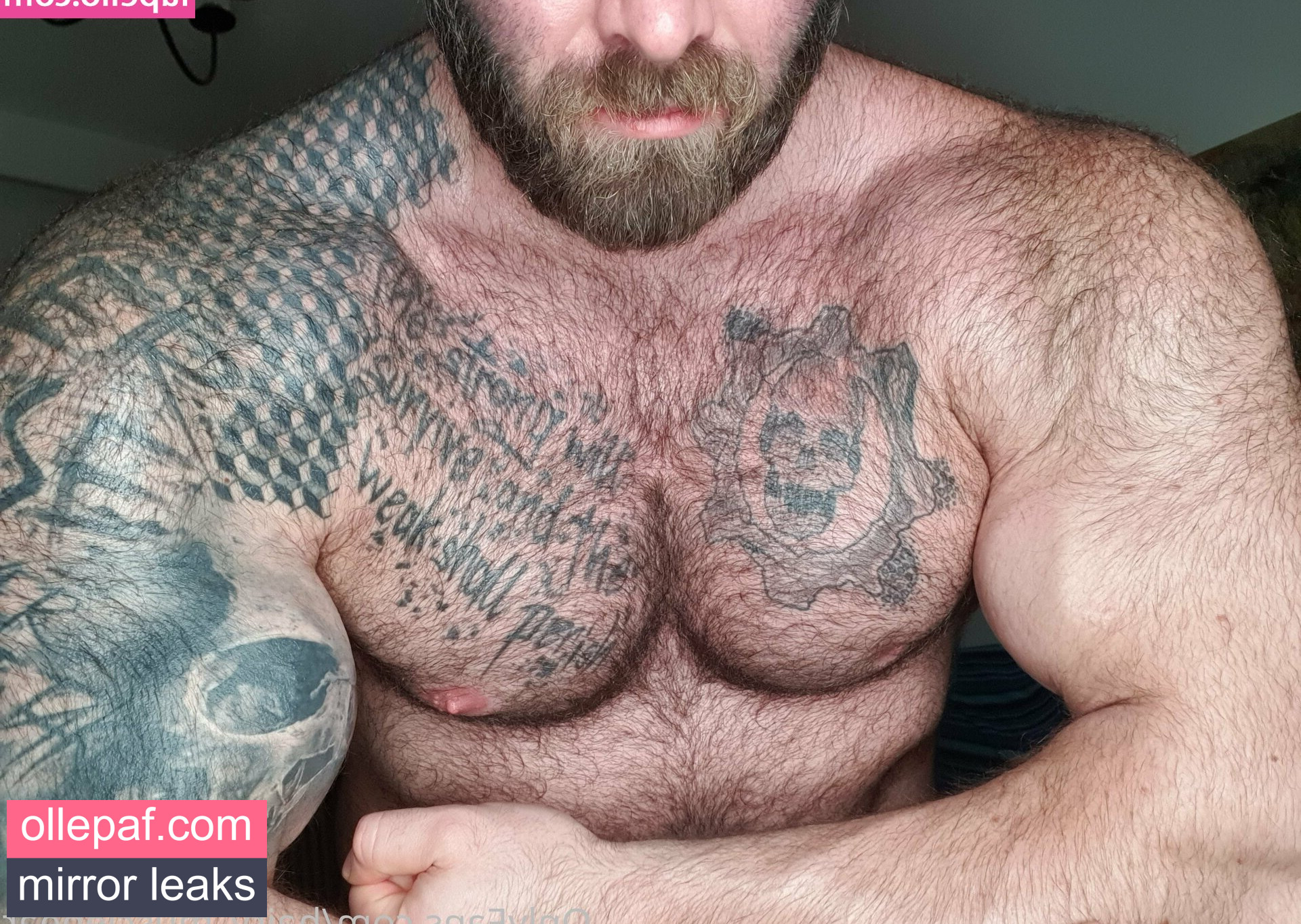 Latest Leaks hairy_musclebear Nude #84 - Fapello