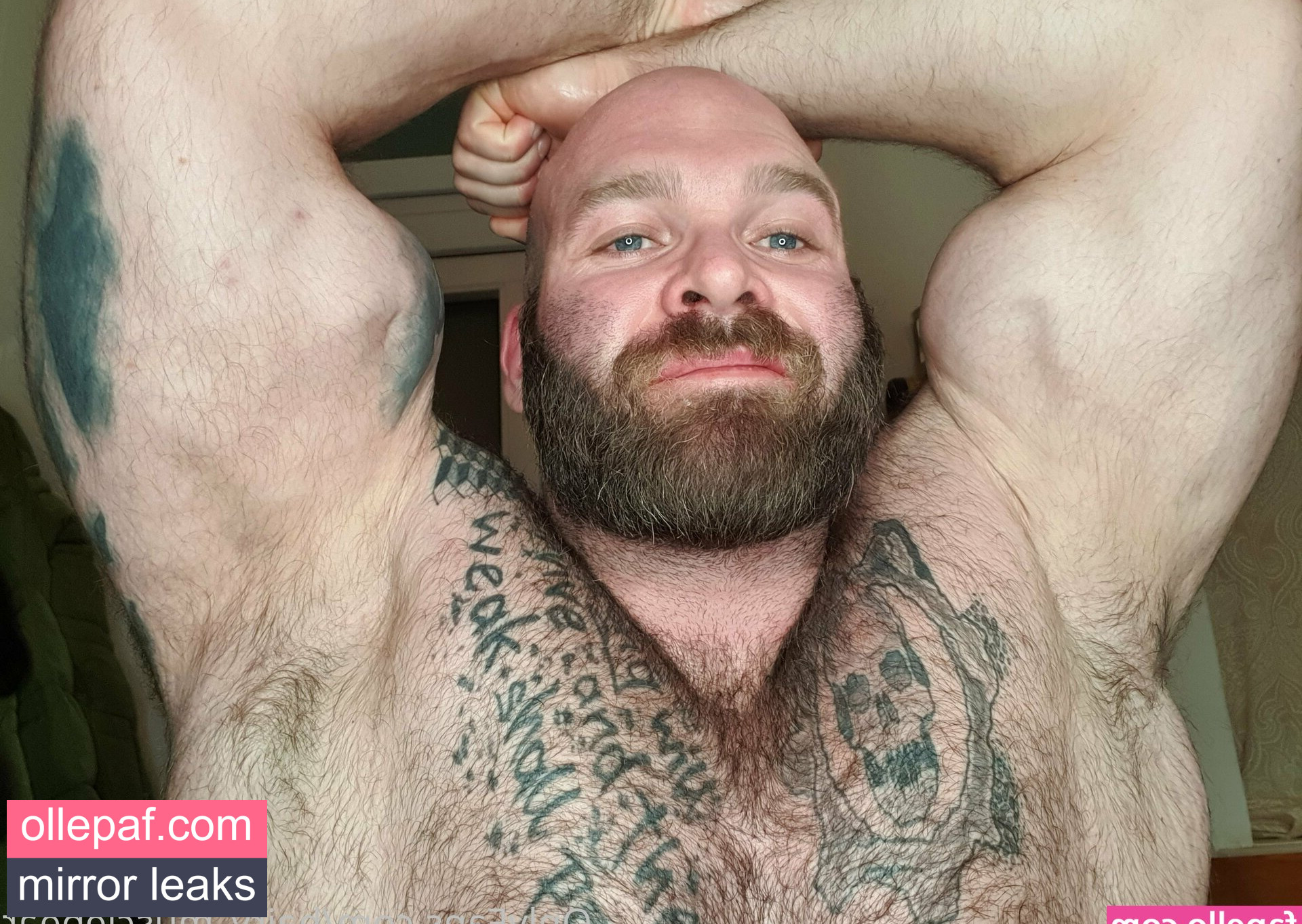 Latest Leaks hairy_musclebear Nude #89 - Fapello