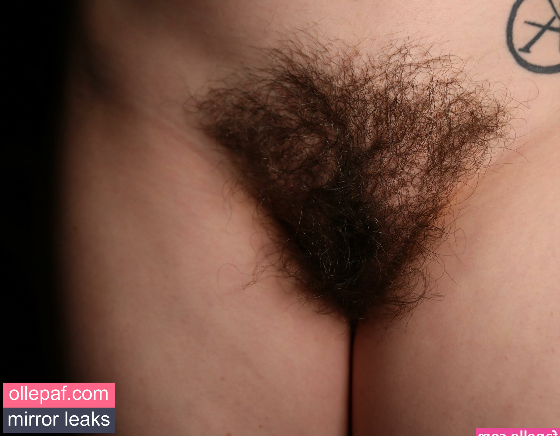 Latest Leaks Hairy Women Nude #154 - Fapello