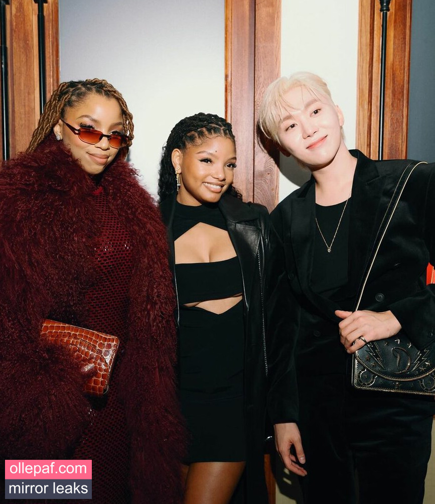Latest Leaks Halle Bailey Nude #221 - Fapello