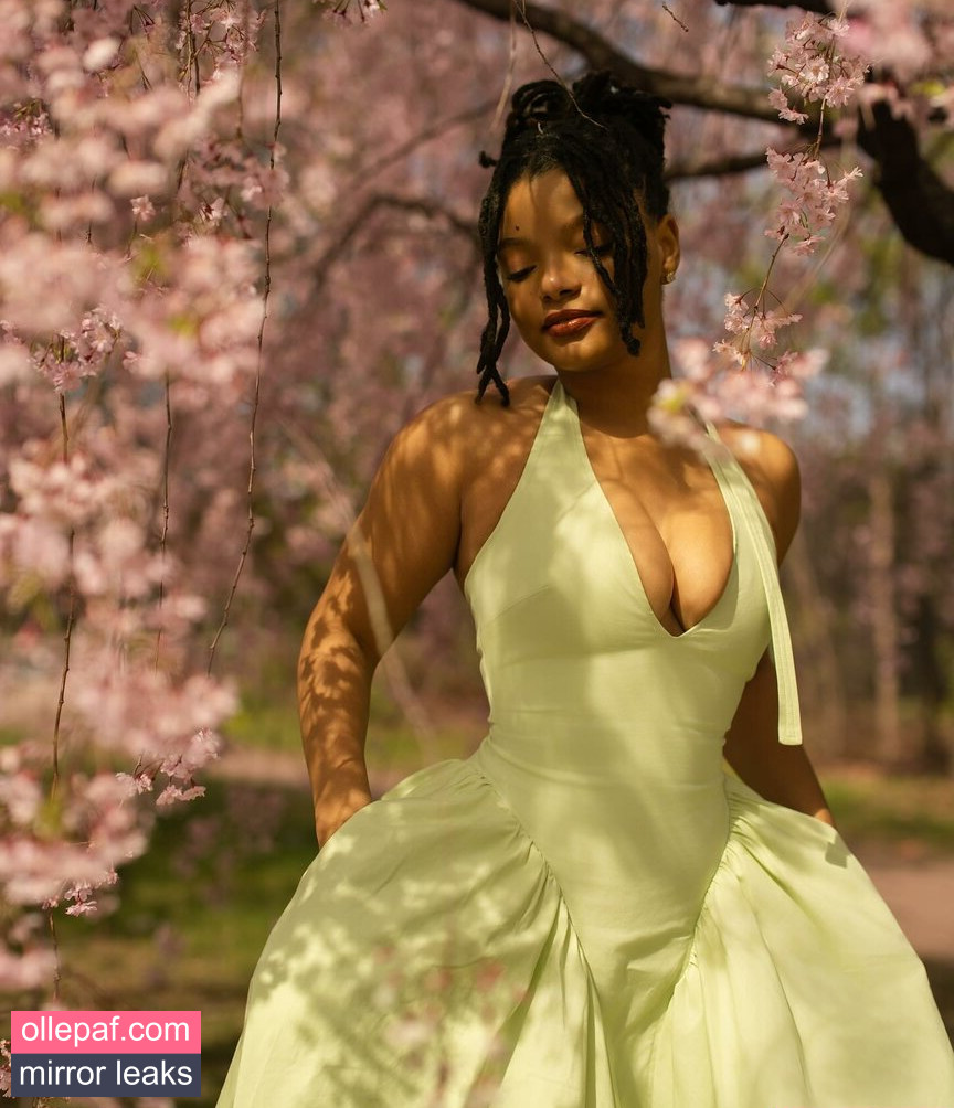 Latest Leaks Halle Bailey Nude #4 - Fapello