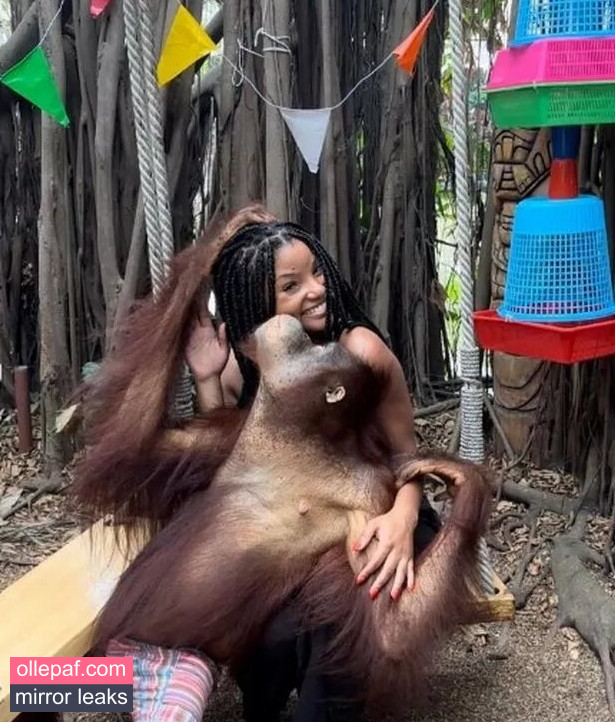 Latest Leaks Halle Bailey Nude #10 - Fapello