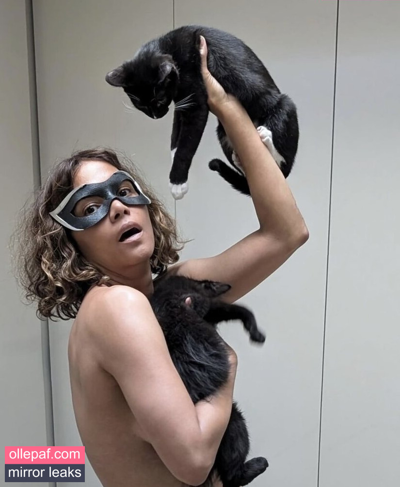 Latest Leaks Halle Berry Nude #300 - Fapello