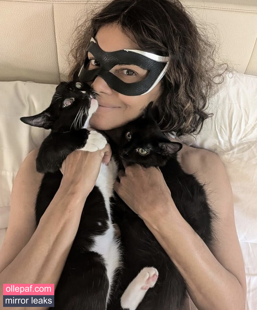 Latest Leaks Halle Berry Nude #301 - Fapello