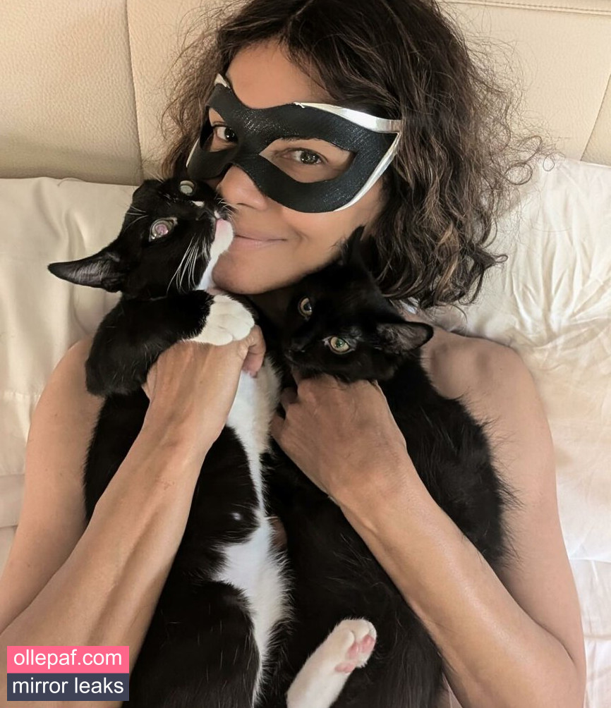 Latest Leaks Halle Berry Nude #308 - Fapello