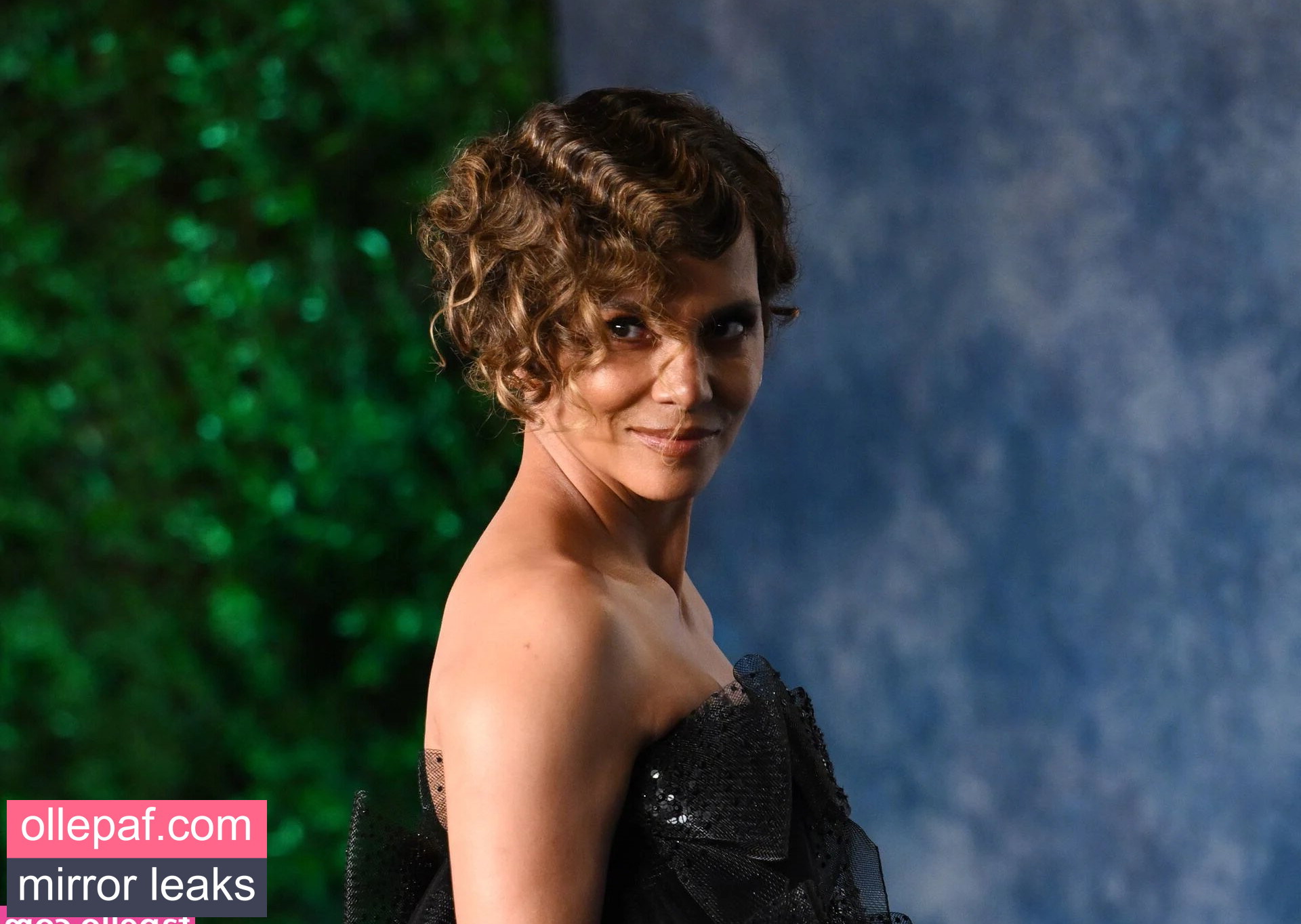 Latest Leaks Halle Berry Nude #32 - Fapello