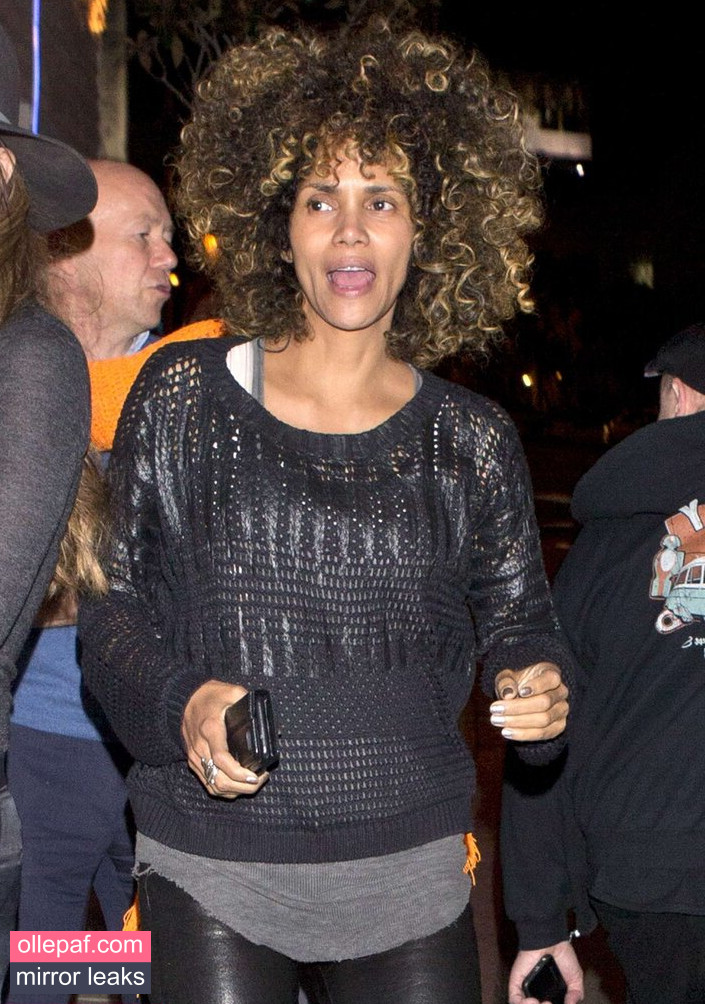 Latest Leaks Halle Berry Nude #365 - Fapello