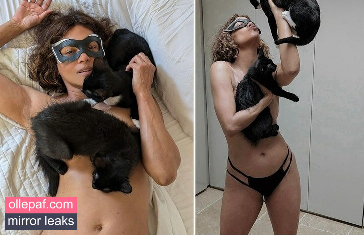 Latest Leaks Halle Berry Nude #48 - Fapello