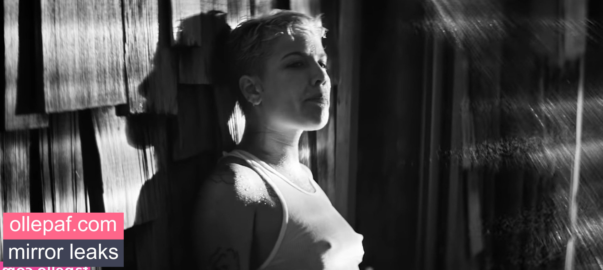 Latest Leaks Halsey Nude #1017 - Fapello