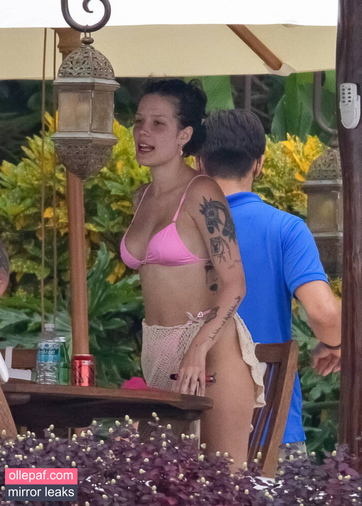 Latest Leaks Halsey Nude #256 - Fapello
