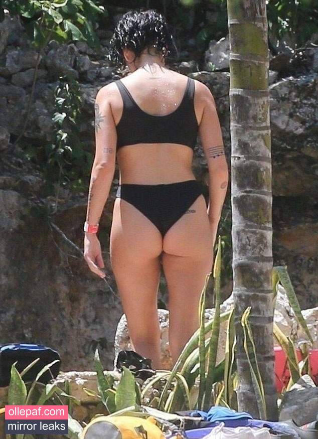 Latest Leaks Halsey Nude #909 - Fapello
