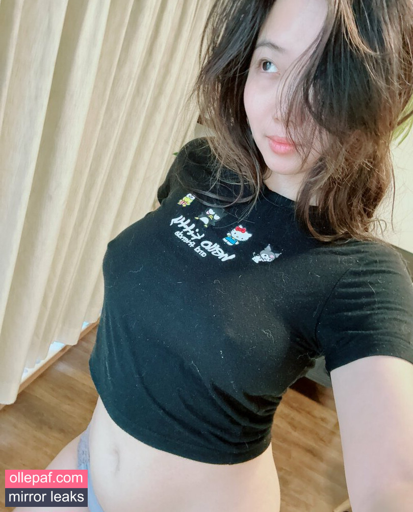 Latest Leaks Harriet Sugarcookie Nude #481 - Fapello