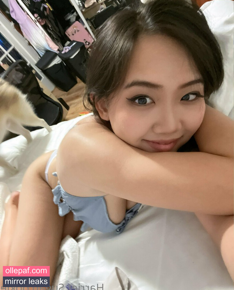 Latest Leaks Harriet Sugarcookie Nude #610 - Fapello
