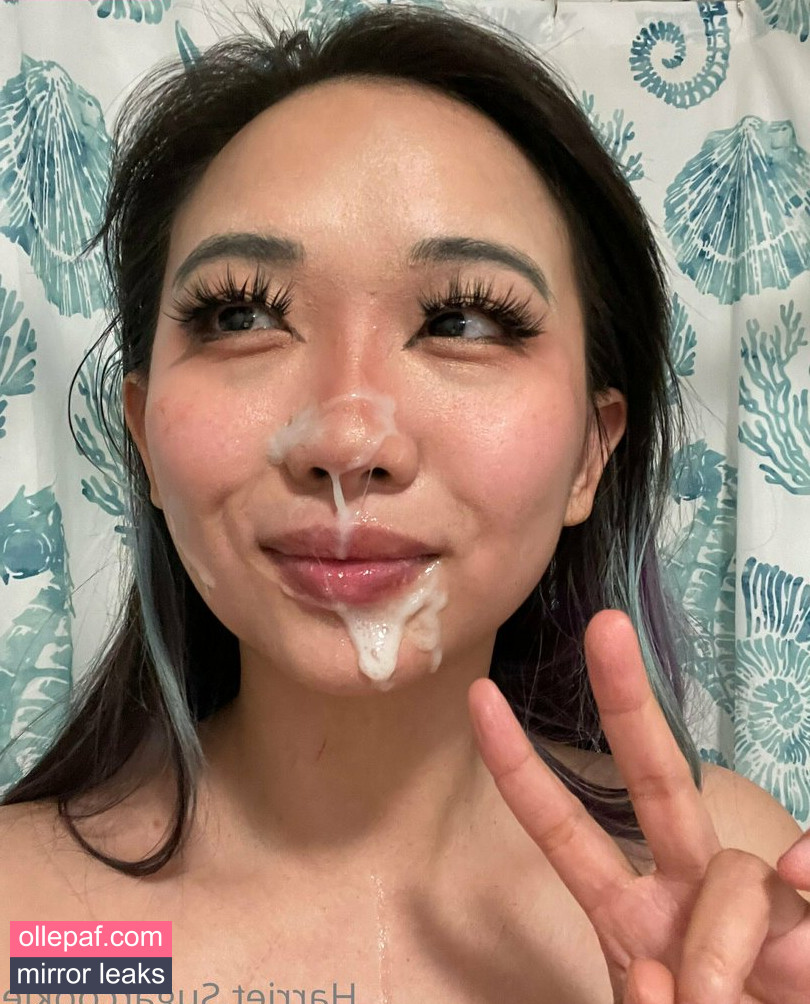 Latest Leaks Harriet Sugarcookie Nude #651 - Fapello