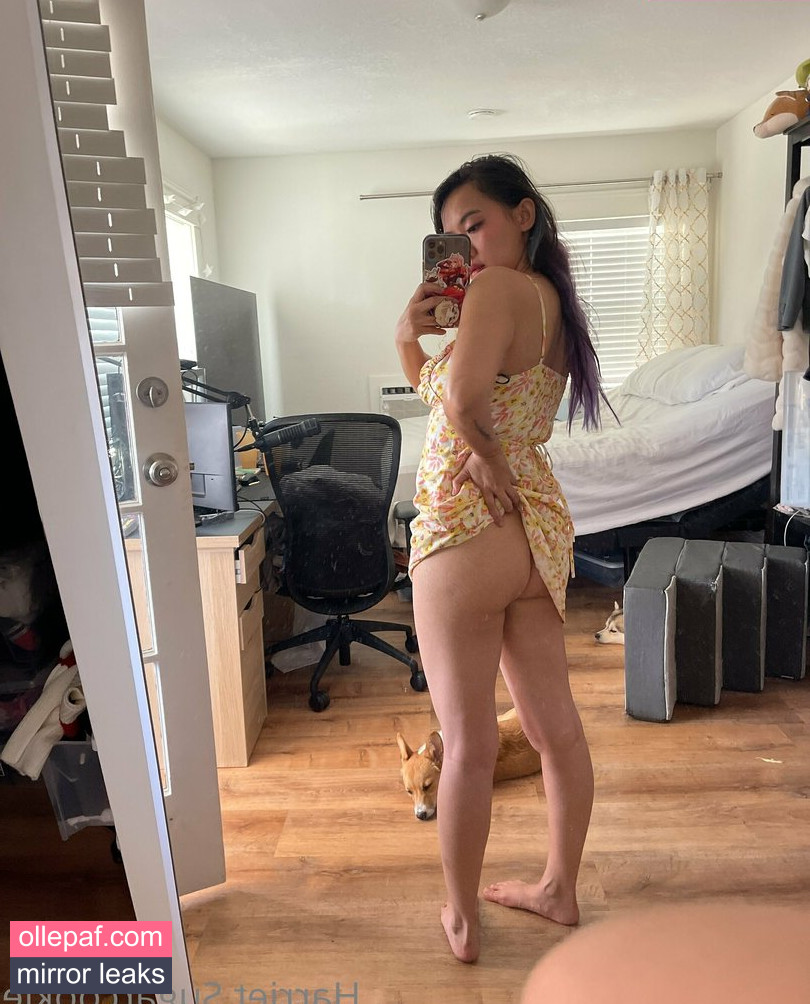 Latest Leaks Harriet Sugarcookie Nude #670 - Fapello