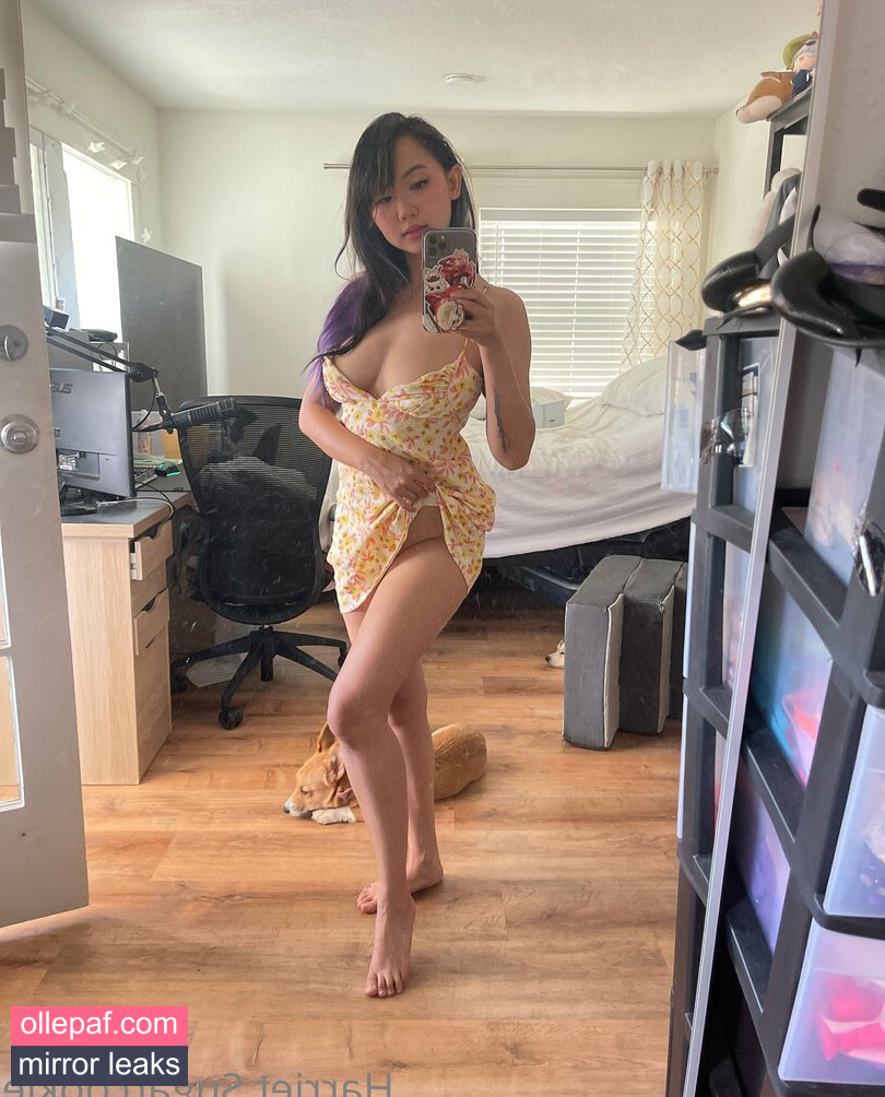 Latest Leaks Harriet Sugarcookie Nude #692 - Fapello
