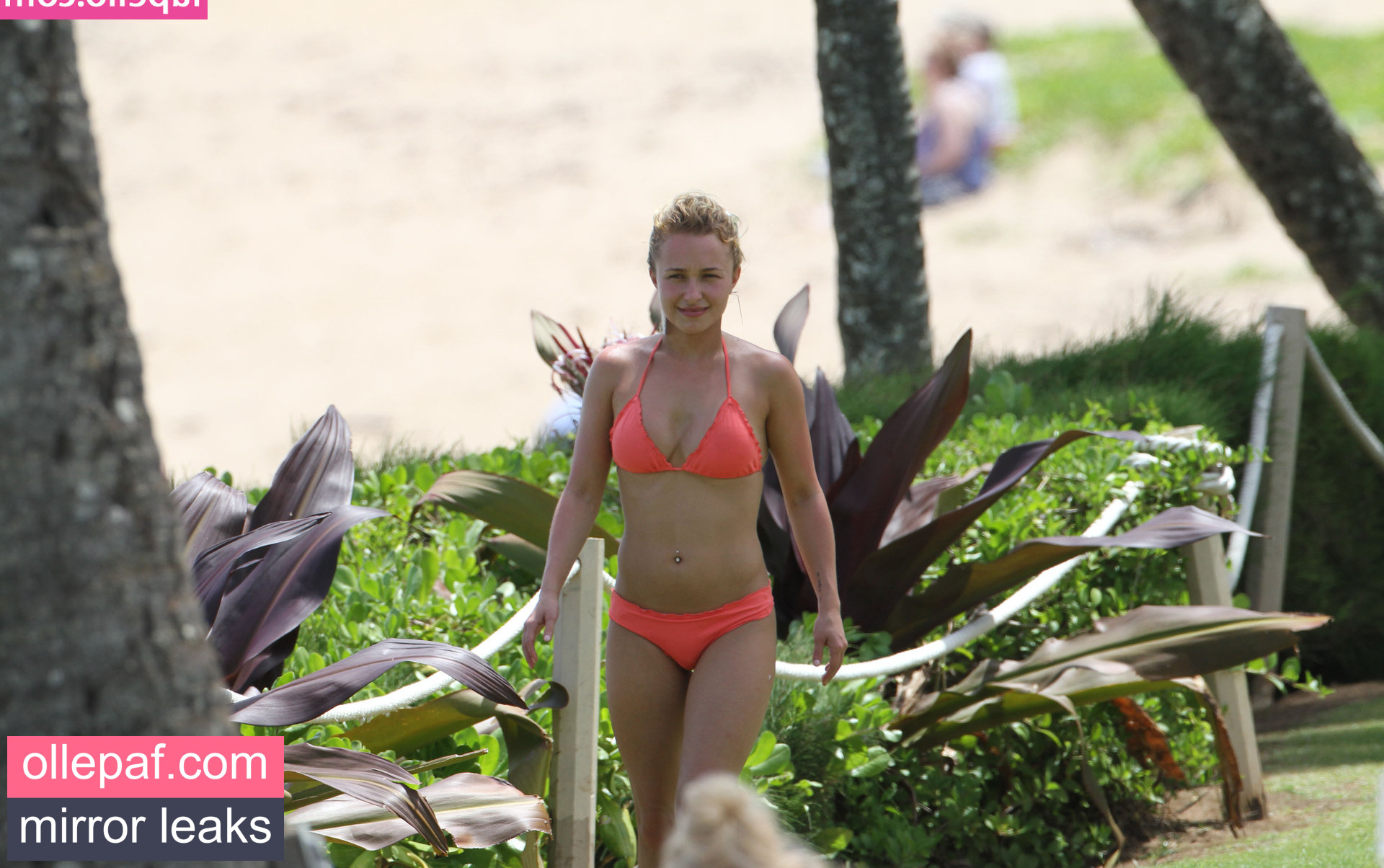 Latest Leaks Hayden Panettiere Nude #781 - Fapello