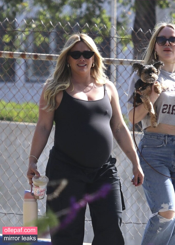 Latest Leaks Hilary Duff Nude #276 - Fapello