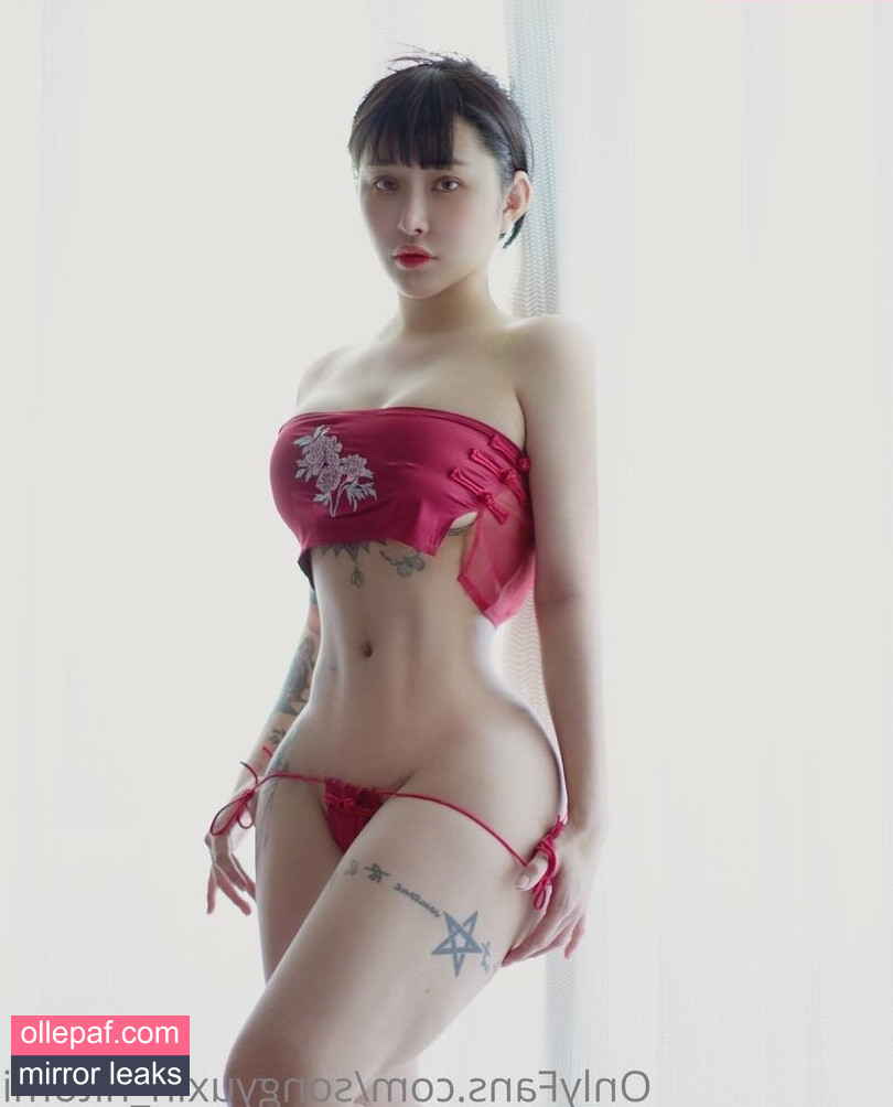 Latest Leaks Hitomi Songyuxin Nude #346 - Fapello
