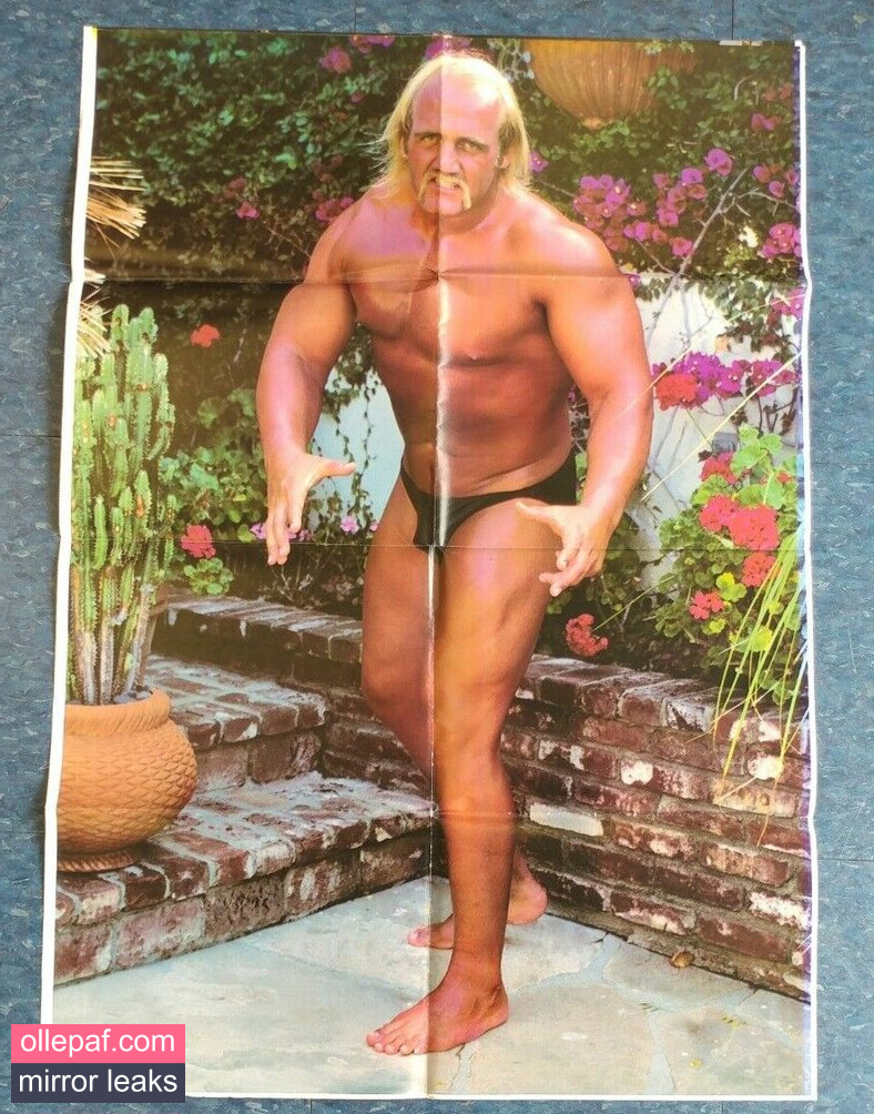 Latest Leaks Hulk Hogan Nude #15 - Fapello