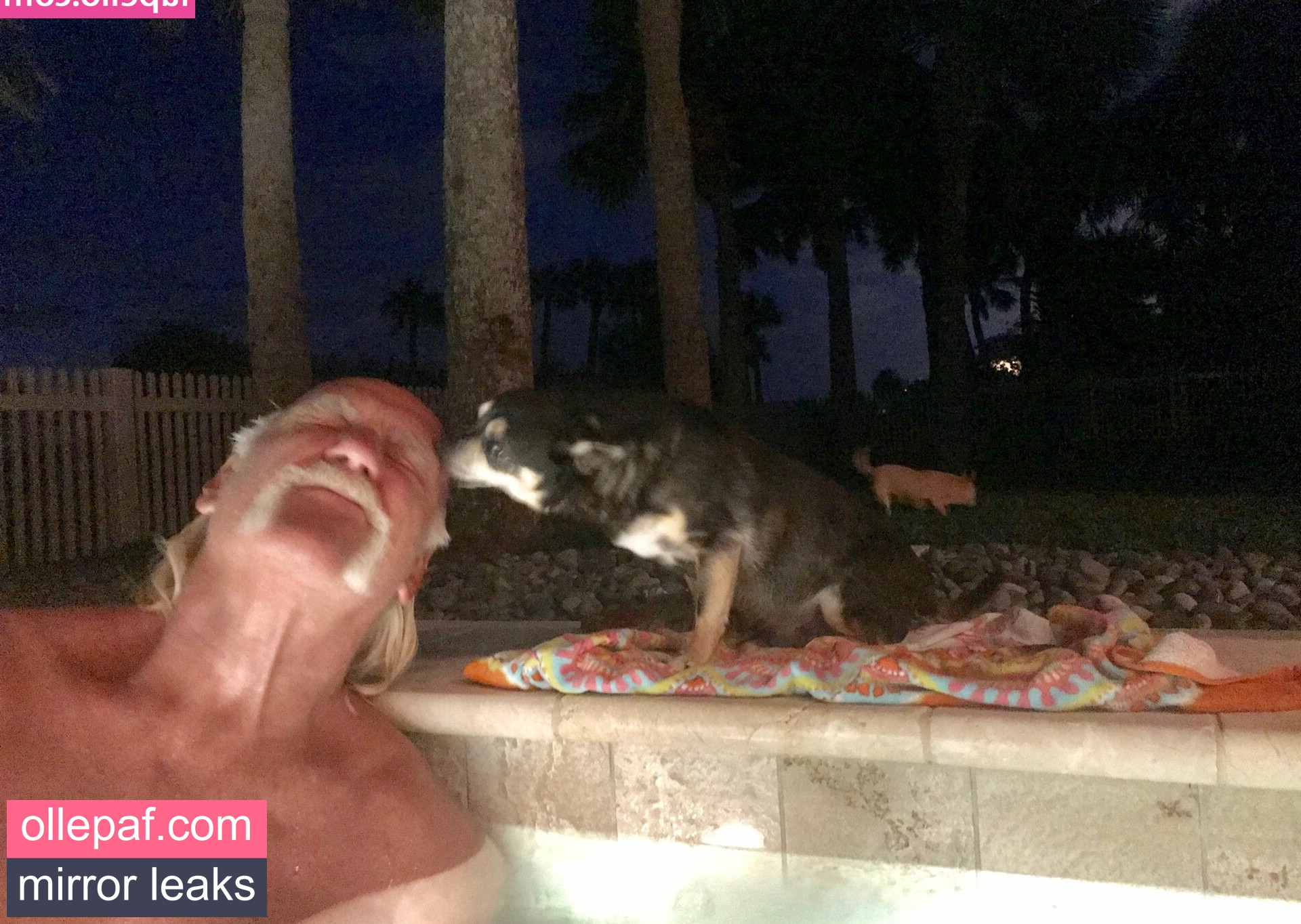 Latest Leaks Hulk Hogan Nude #7 - Fapello