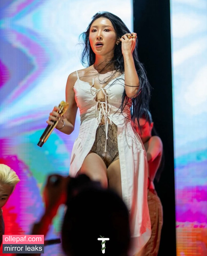 Latest Leaks Hwasa Nude #10 - Fapello
