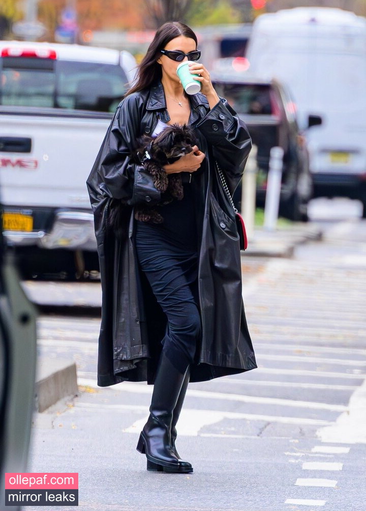 Latest Leaks Irina Shayk Nude #153 - Fapello