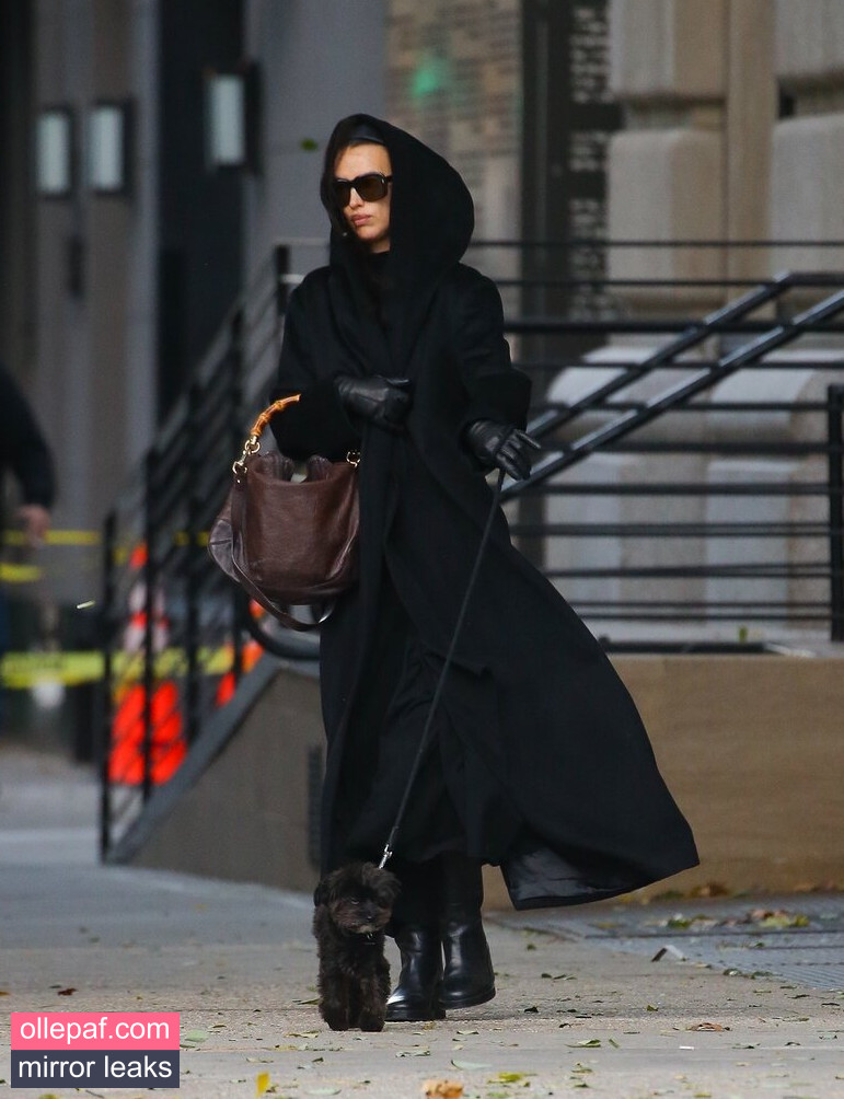 Latest Leaks Irina Shayk Nude #73 - Fapello
