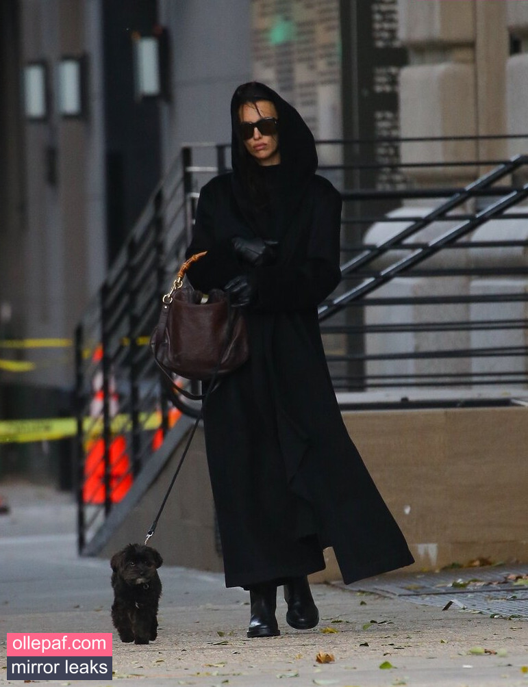 Latest Leaks Irina Shayk Nude #81 - Fapello