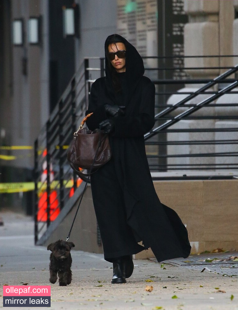 Latest Leaks Irina Shayk Nude #83 - Fapello