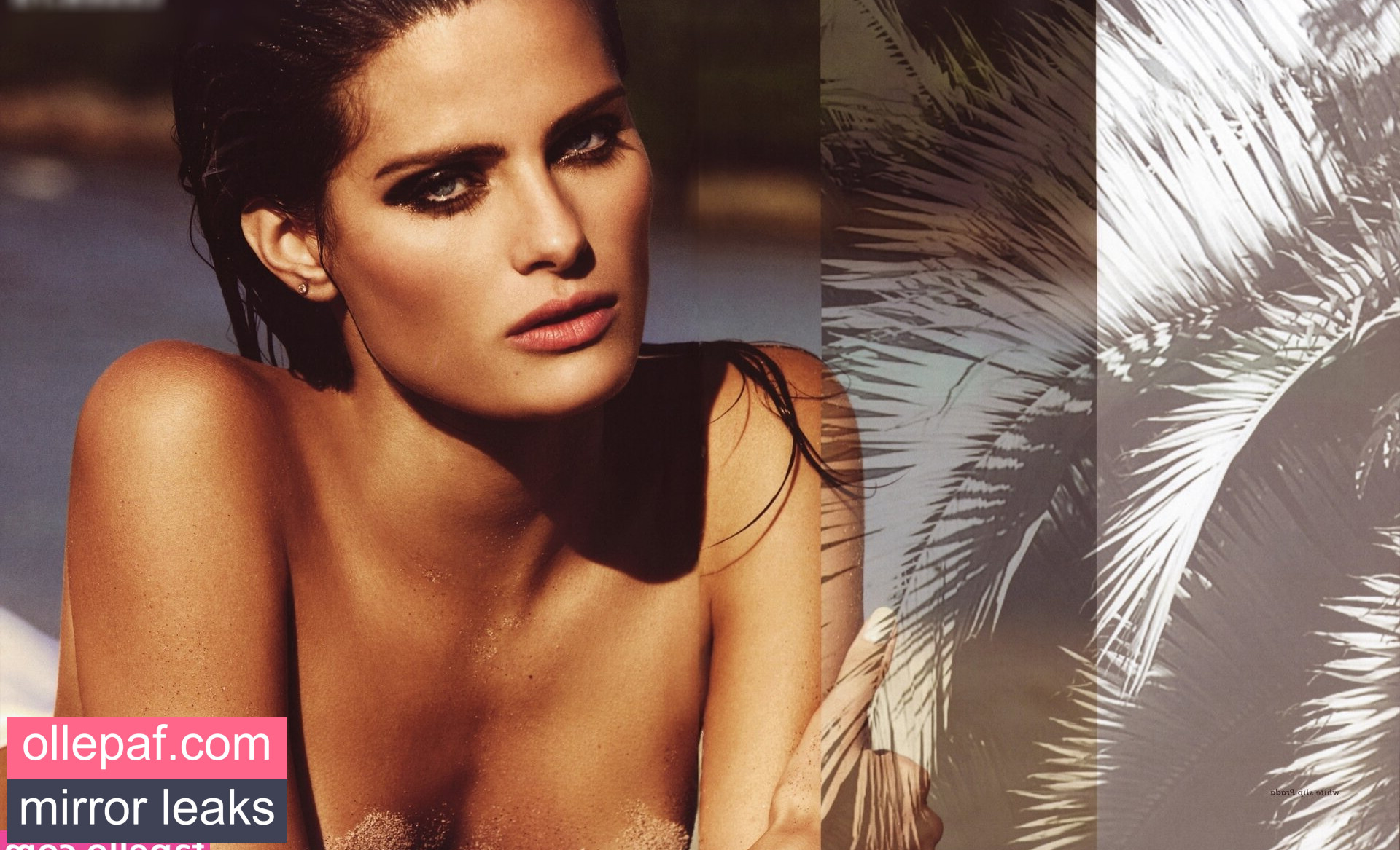 Latest Leaks Isabeli Fontana Nude #12 - Fapello