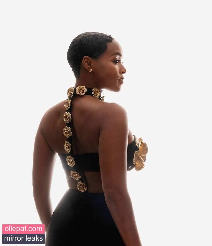 Janelle Monae Nude Leaks OnlyFans #213 - Fapello