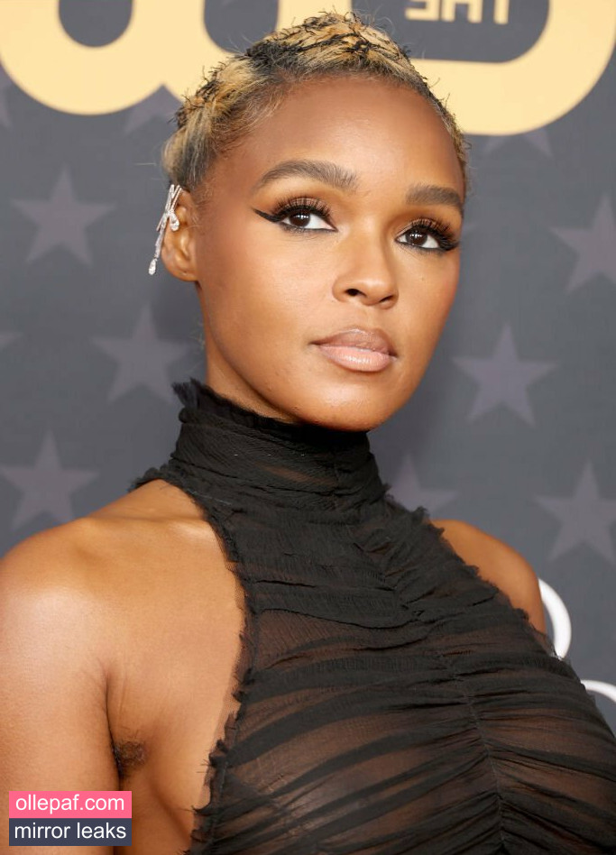 Janelle Monae Nude Leaks OnlyFans #463 - Fapello