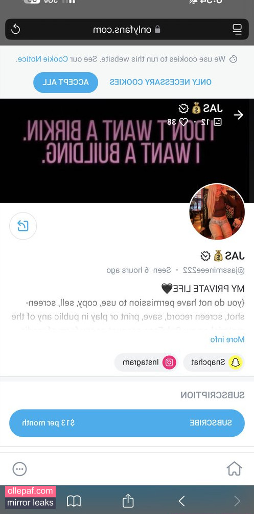 Latest Leaks Jassmineee222 Nude #3 - Fapello