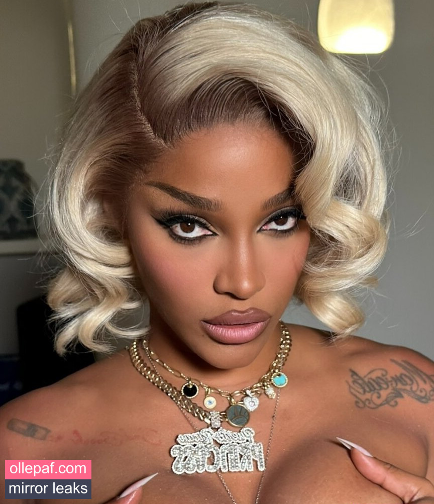 Latest Leaks Joseline Hernandez Nude #14 - Fapello