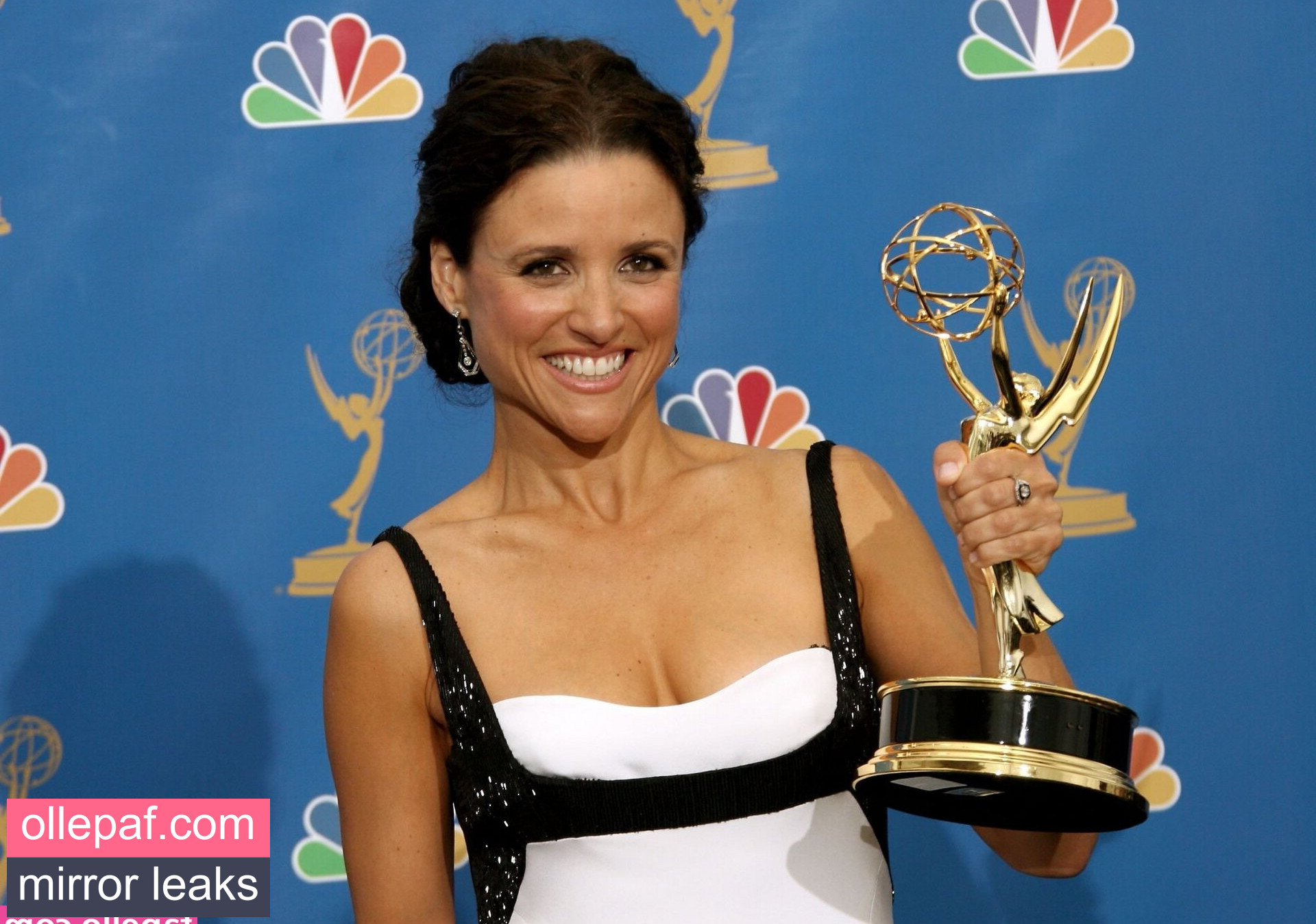 Latest Leaks Julia Louis-Dreyfus Nude #44 - Fapello