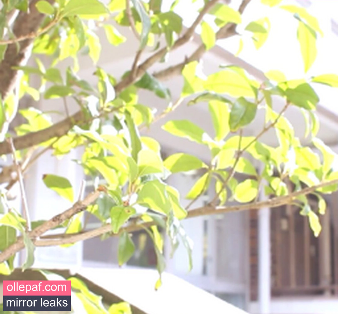 Latest Leaks Kagura Momoka Nude #3 - Fapello