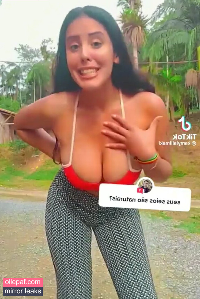 Latest Leaks Kamylla Lima Nude #54 - Fapello